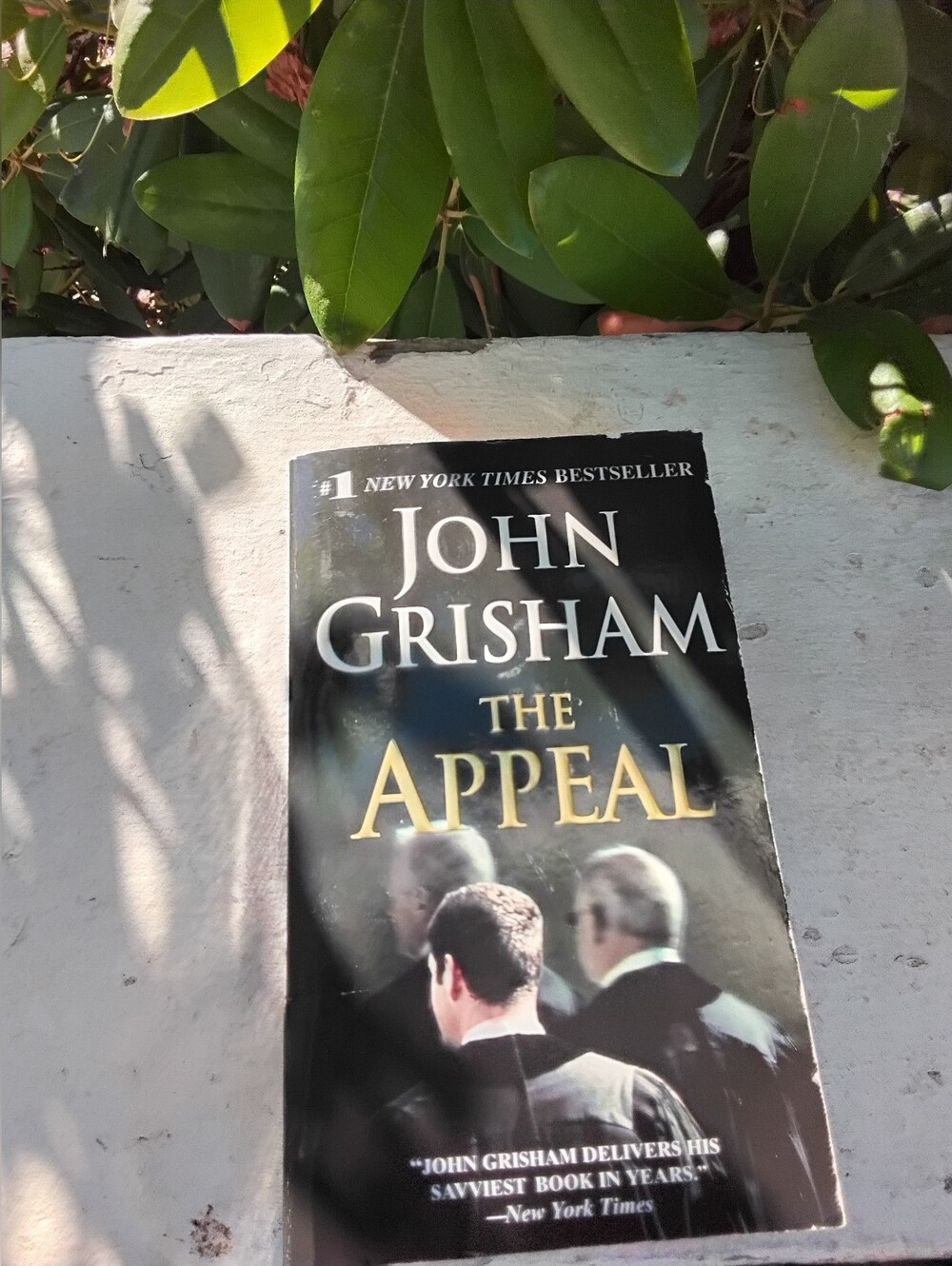 John Grisham The Appeal Paperback Book - Black GUC